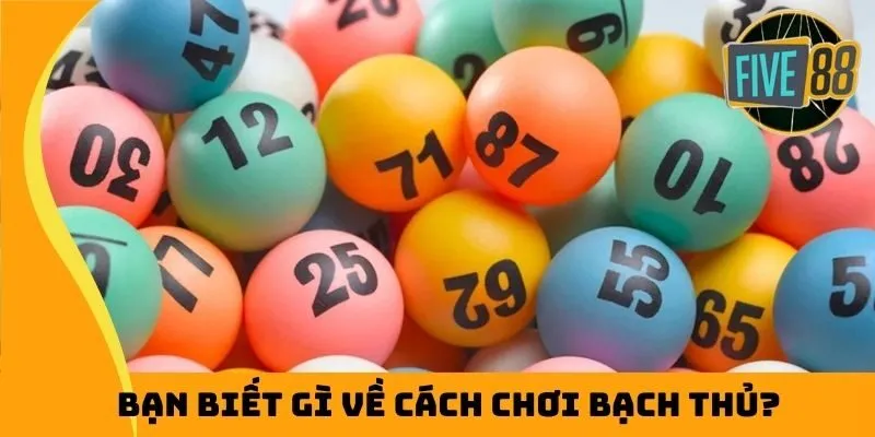 Bạn biết gì về cách chơi bạch thủ?