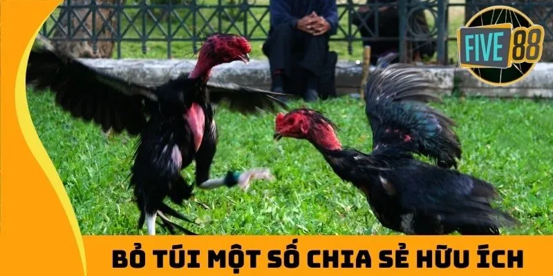 Bỏ túi một số chia sẻ hữu ích