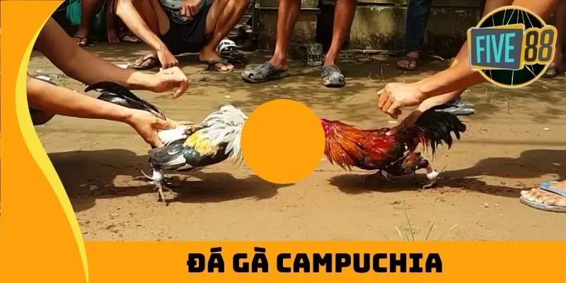 đá gà online uy tín