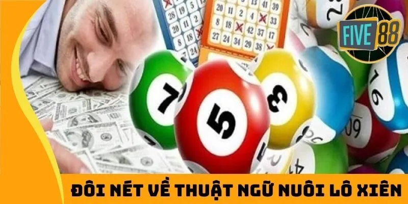 Đôi nét về thuật ngữ nuôi lô xiên